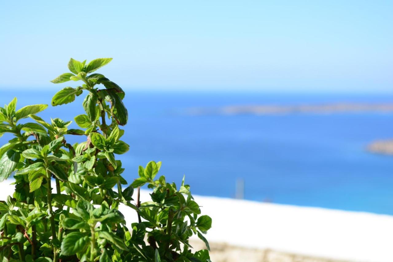 Anemolia Villa Lakki  Bagian luar foto